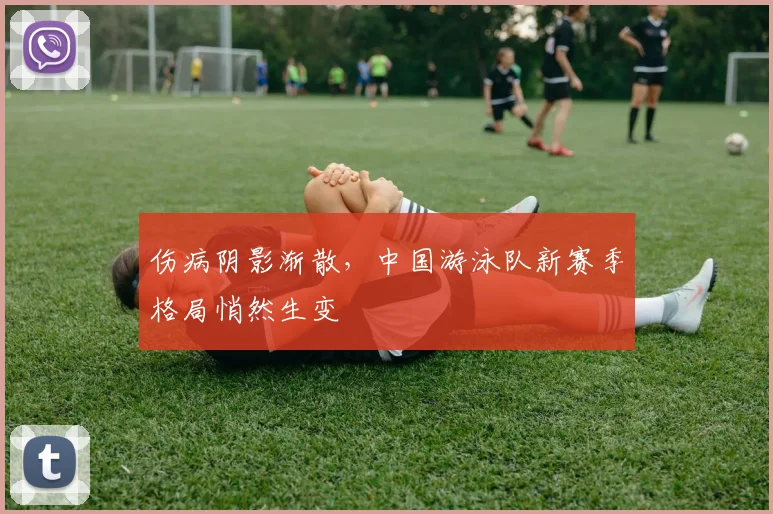 伤病阴影渐散，中国游泳队新赛季格局悄然生变