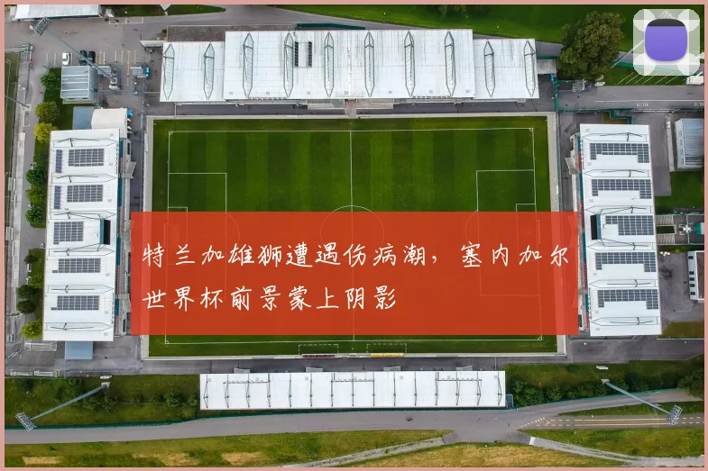 特兰加雄狮遭遇伤病潮,塞内加尔世界杯前景蒙上阴影