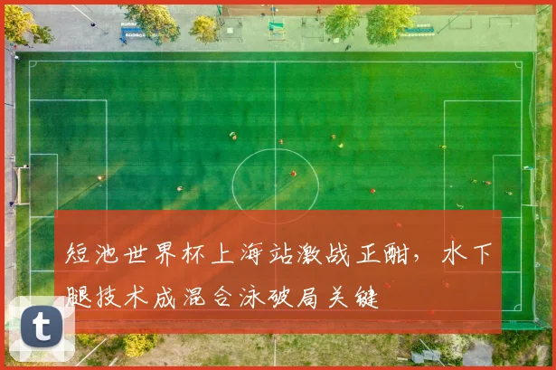 短池世界杯上海站激战正酣，水下腿技术成混合泳破局关键