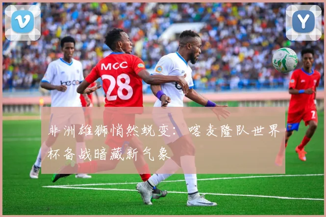 非洲雄狮悄然蜕变:喀麦隆队世界杯备战暗藏新气象