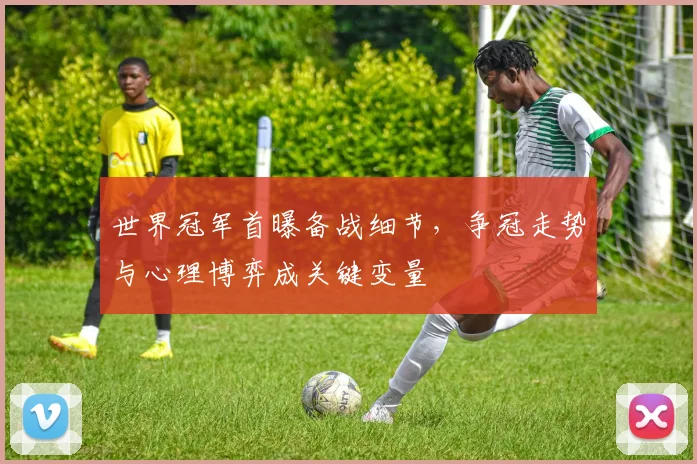 世界冠军首曝备战细节,争冠走势与心理博弈成关键变量